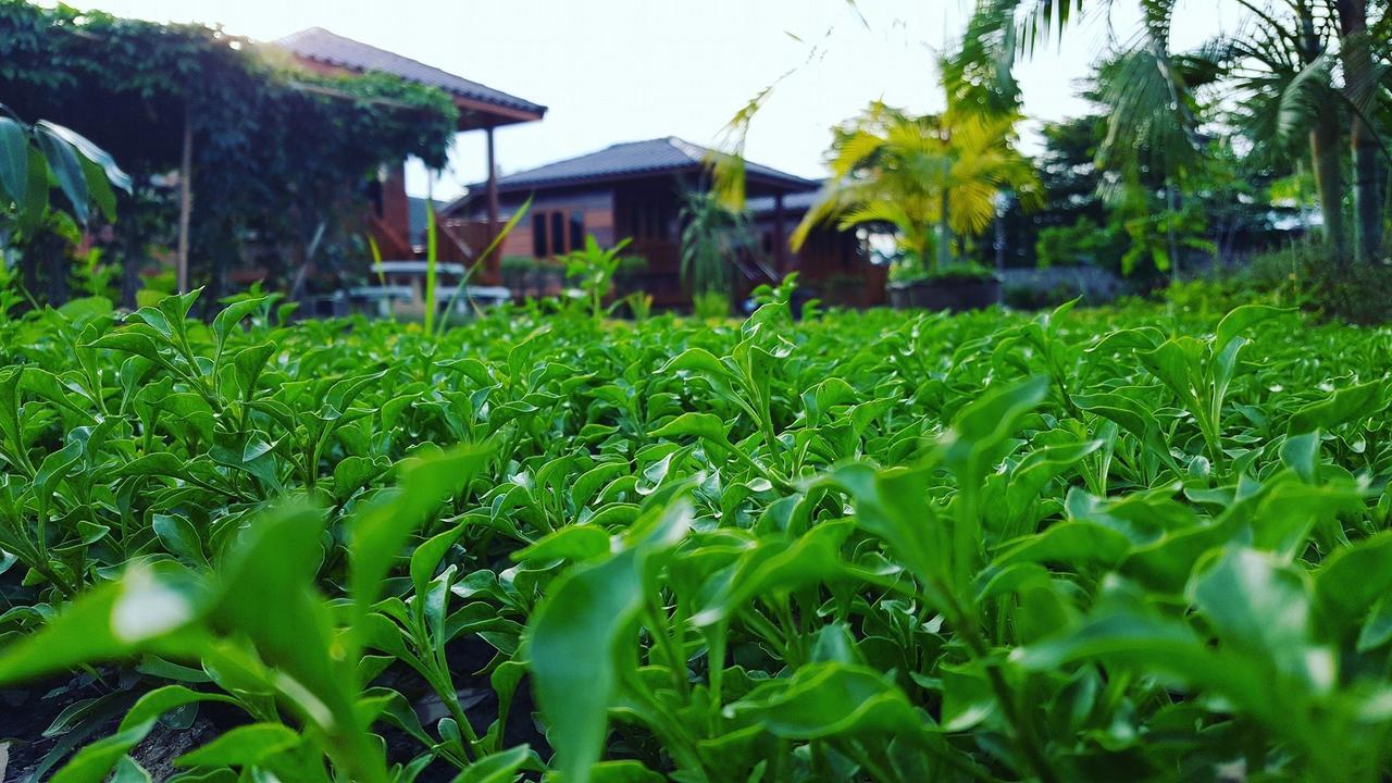 บ้านสวนมีดี ลำพูน Meedee Homestay Lamphun Ban Nong Pla Kho Exterior photo